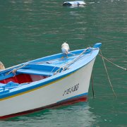 DSCF1589