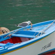DSCF1599