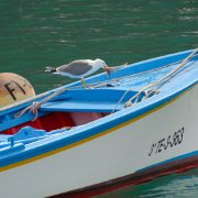 DSCF1606
