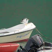 DSCF1619