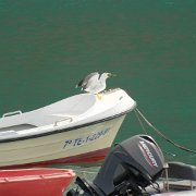 DSCF1620