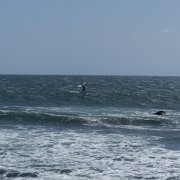 DSCF2050