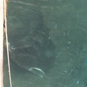 DSCF2105