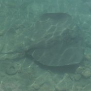 DSCF2129