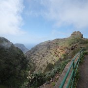 DSCF2542