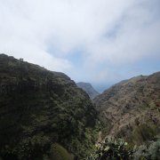 DSCF2545