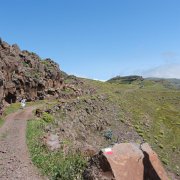 DSCF2595