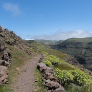 DSCF2607