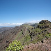 DSCF2626
