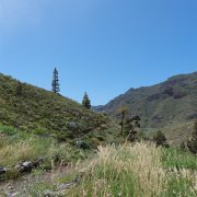 DSCF2373