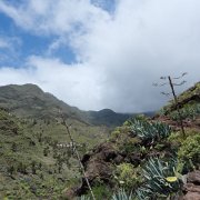 DSCF2468