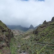 DSCF2484