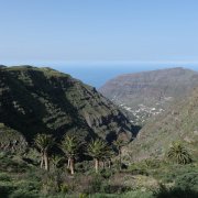 DSCF1677