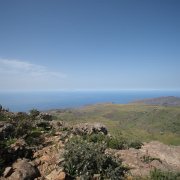 DSCF1770